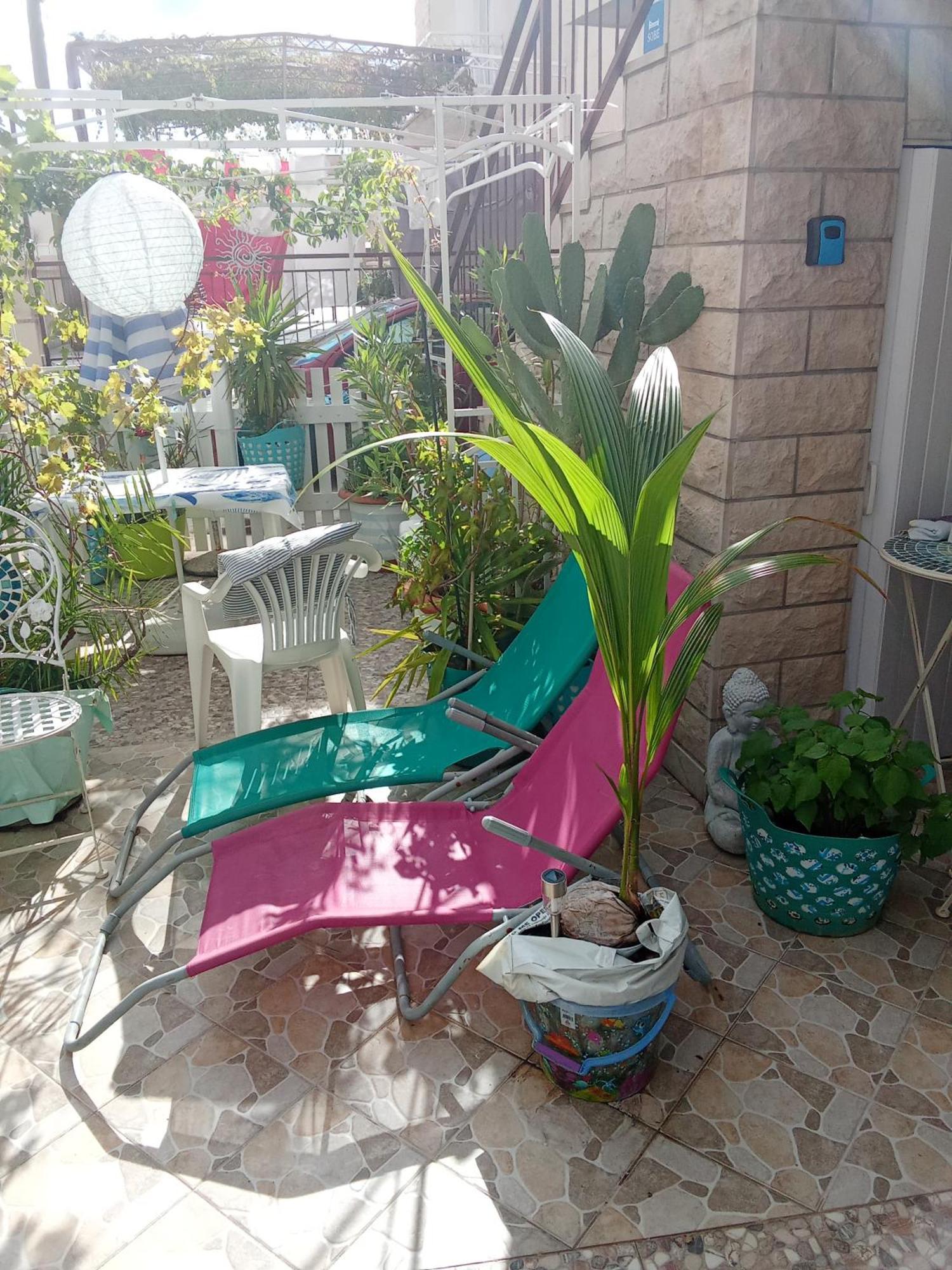Makarska Blue Oasis Apartman 2-6 Buitenkant foto